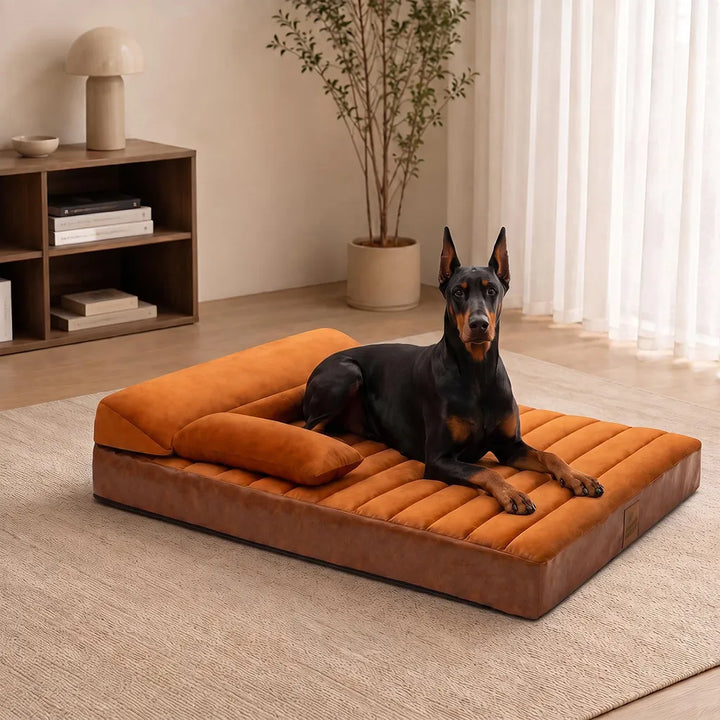 Pawtique LuxeNest™ Orthopedic Bolster Dog Sofa Bed