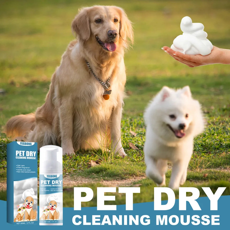 60ml Pet Dry Cleaning Deodorant Smooth Hair Foam Mousse
