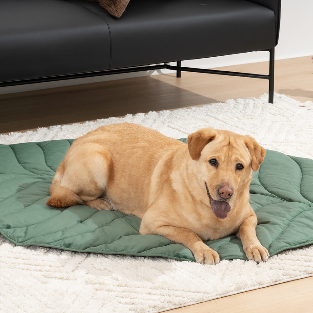 Pawtique LeafLounge™ Oversized Leaf-Shaped Pet Mat &amp; Blanket