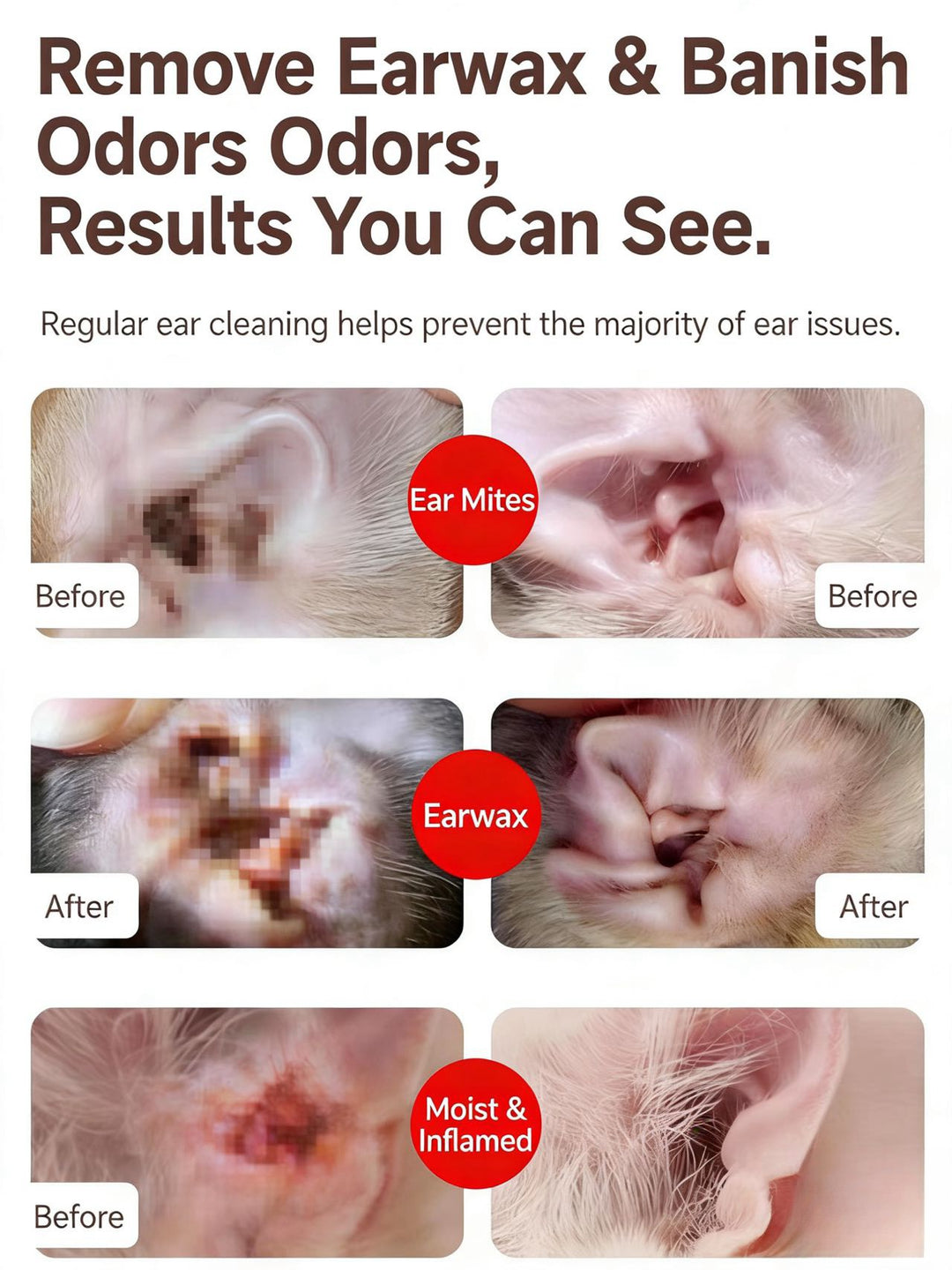 PET EYE AND EAR WIPES