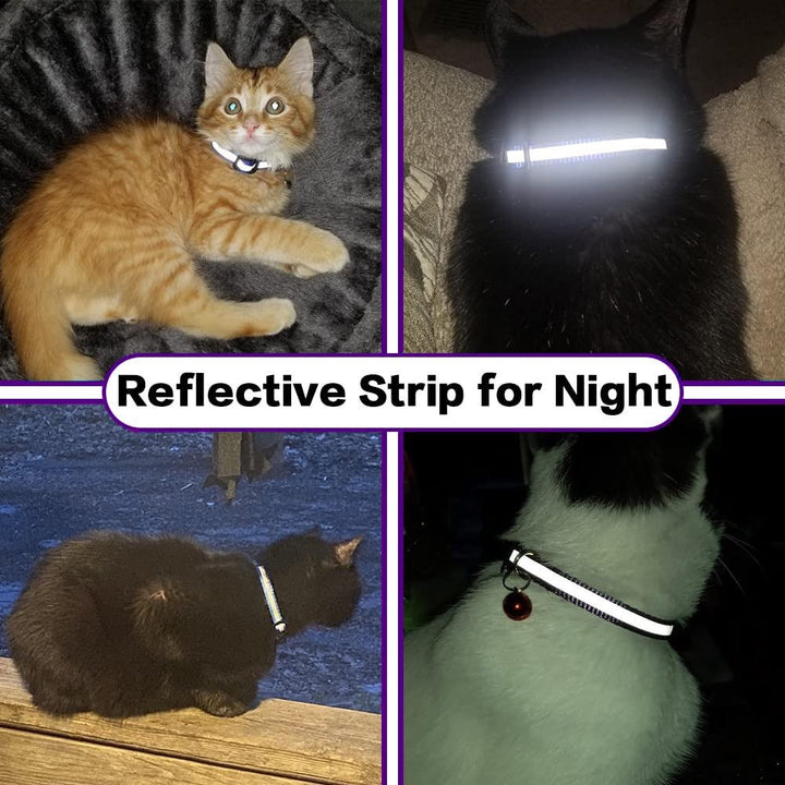 Adjustable AirTag Cat Collar - Pawtique
