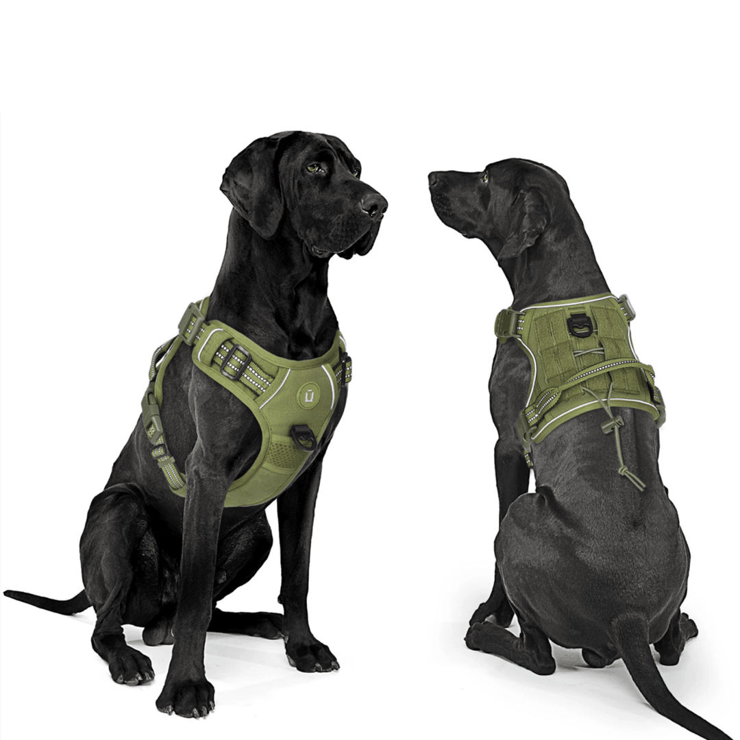 Adjustable Anti - Pull Harness with MOLLE System - Pawtique