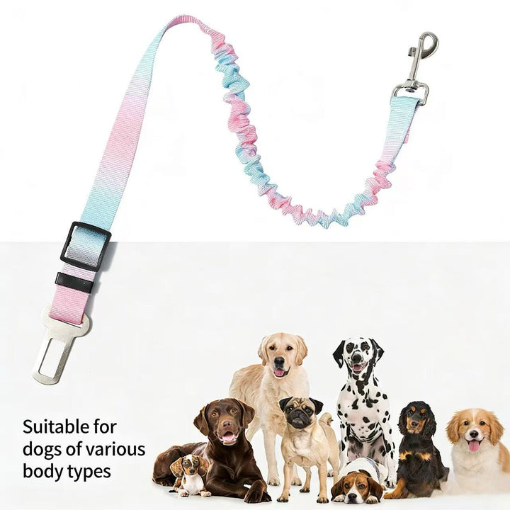 Adjustable Car Dog Safety Leash - Pawtique