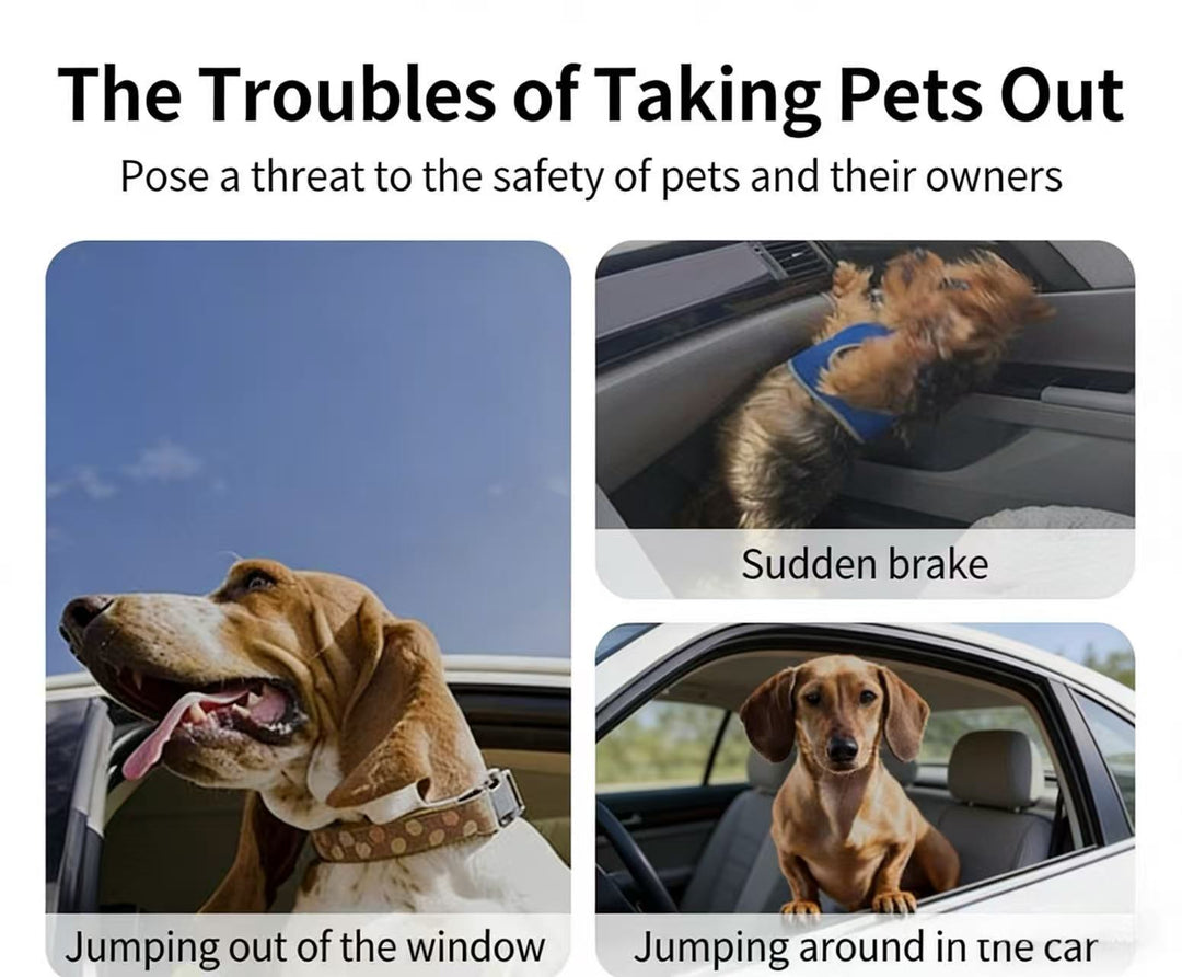 Adjustable Car Dog Safety Leash - Pawtique