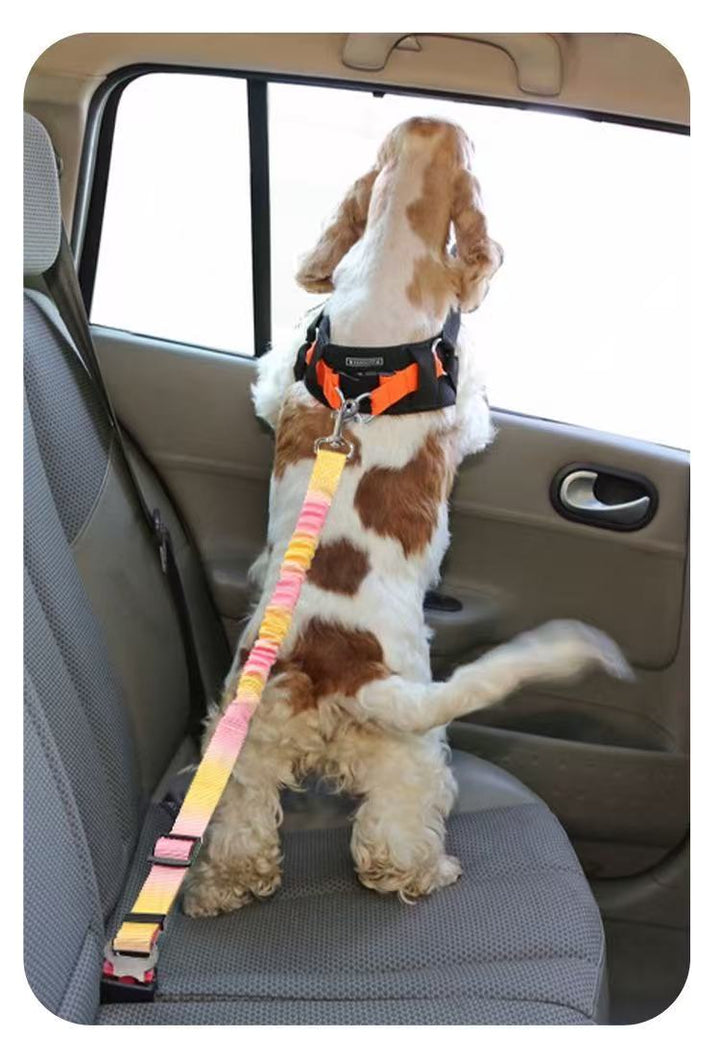 Adjustable Car Dog Safety Leash - Pawtique