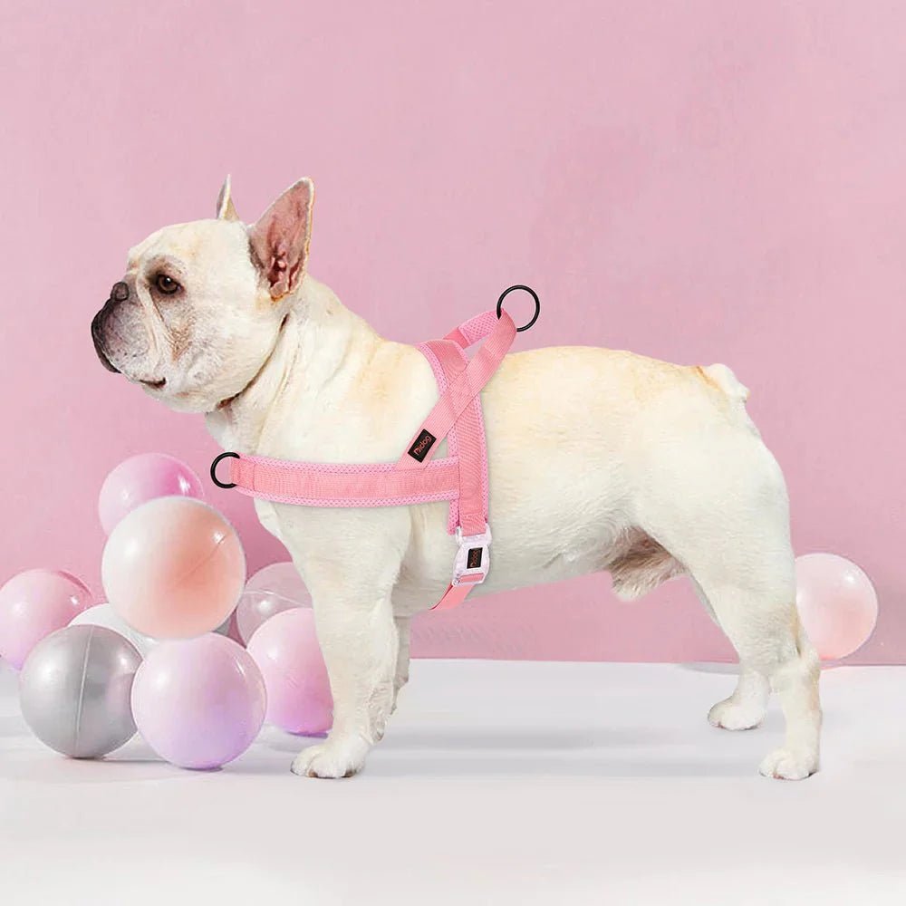 Adjustable Dog Harness - Nylon Padded Comfort - Harness for Walking Dogs - Pawtique