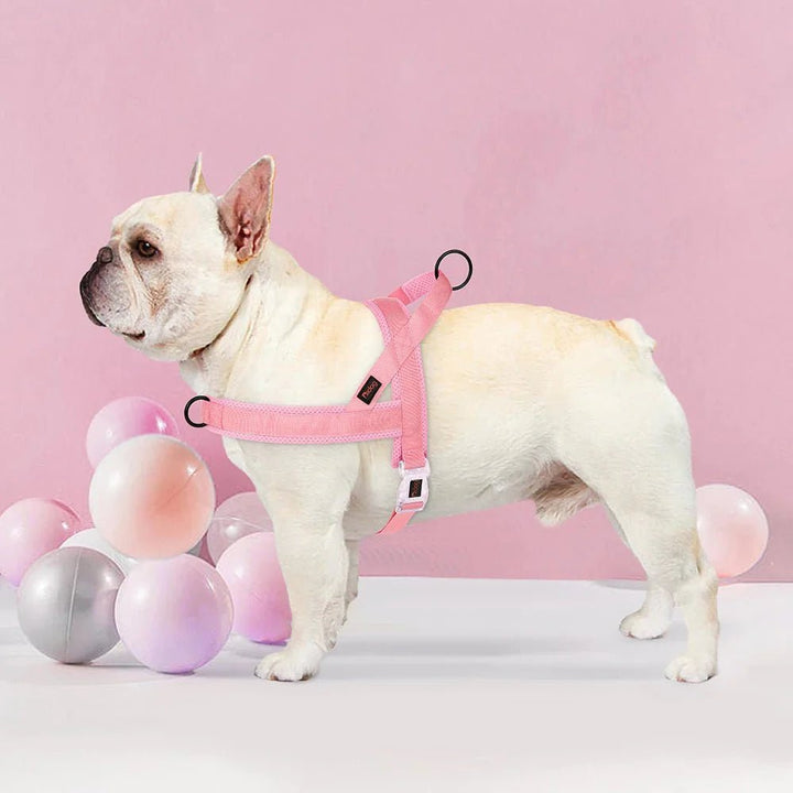 Adjustable Dog Harness - Nylon Padded Comfort - Harness for Walking Dogs - Pawtique