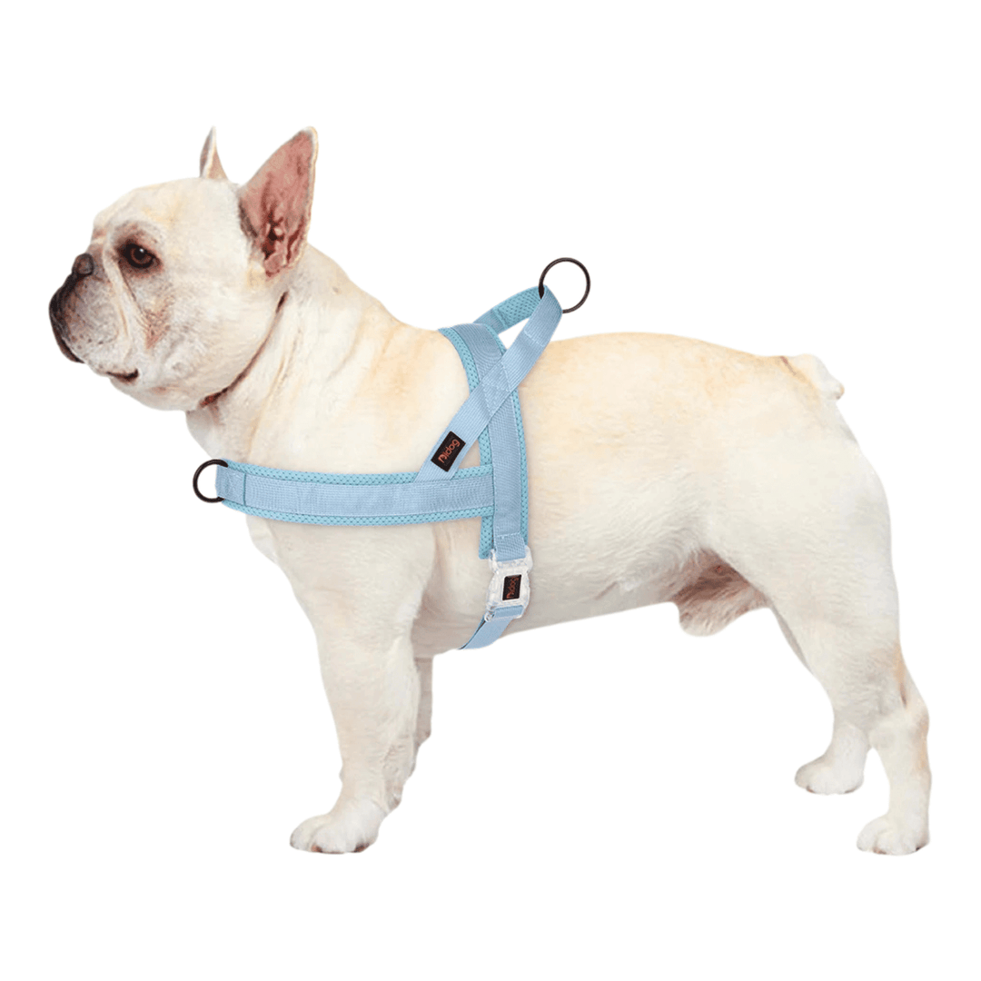 Adjustable Dog Harness - Nylon Padded Comfort - Harness for Walking Dogs - Pawtique
