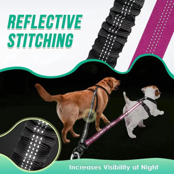 Adjustable Duo Dog Leash with Comfortable Bungee - Pawtique