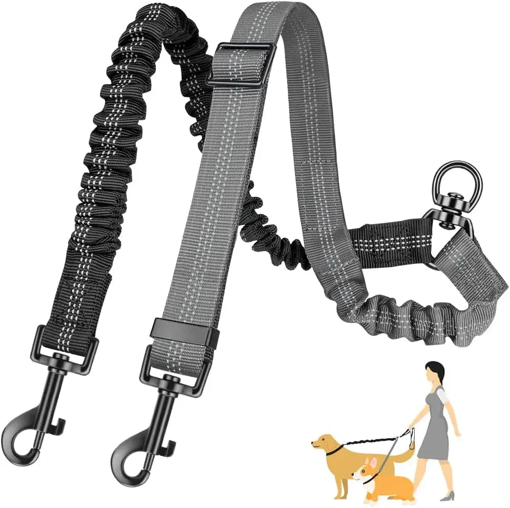 Adjustable Duo Dog Leash with Comfortable Bungee - Pawtique
