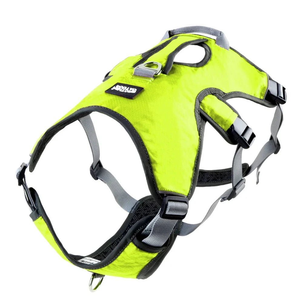 Adjustable Oxford Harness - Pawtique