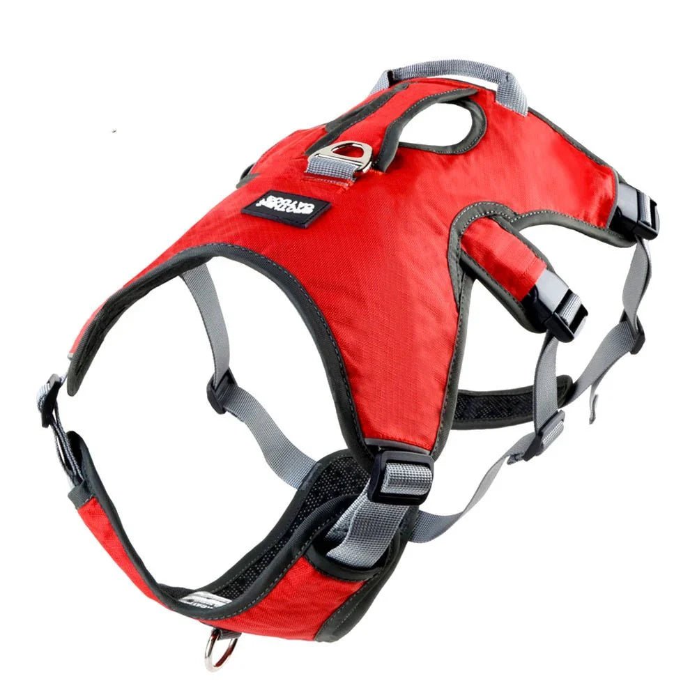 Adjustable Oxford Harness - Pawtique
