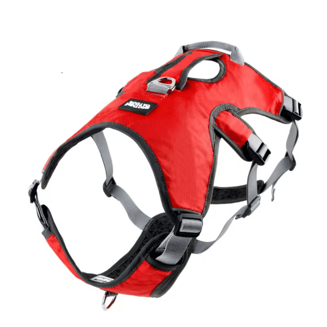 Adjustable Oxford Harness - Pawtique