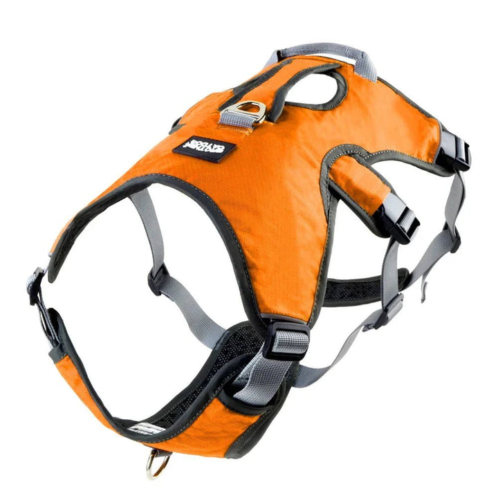 Adjustable Oxford Harness - Pawtique
