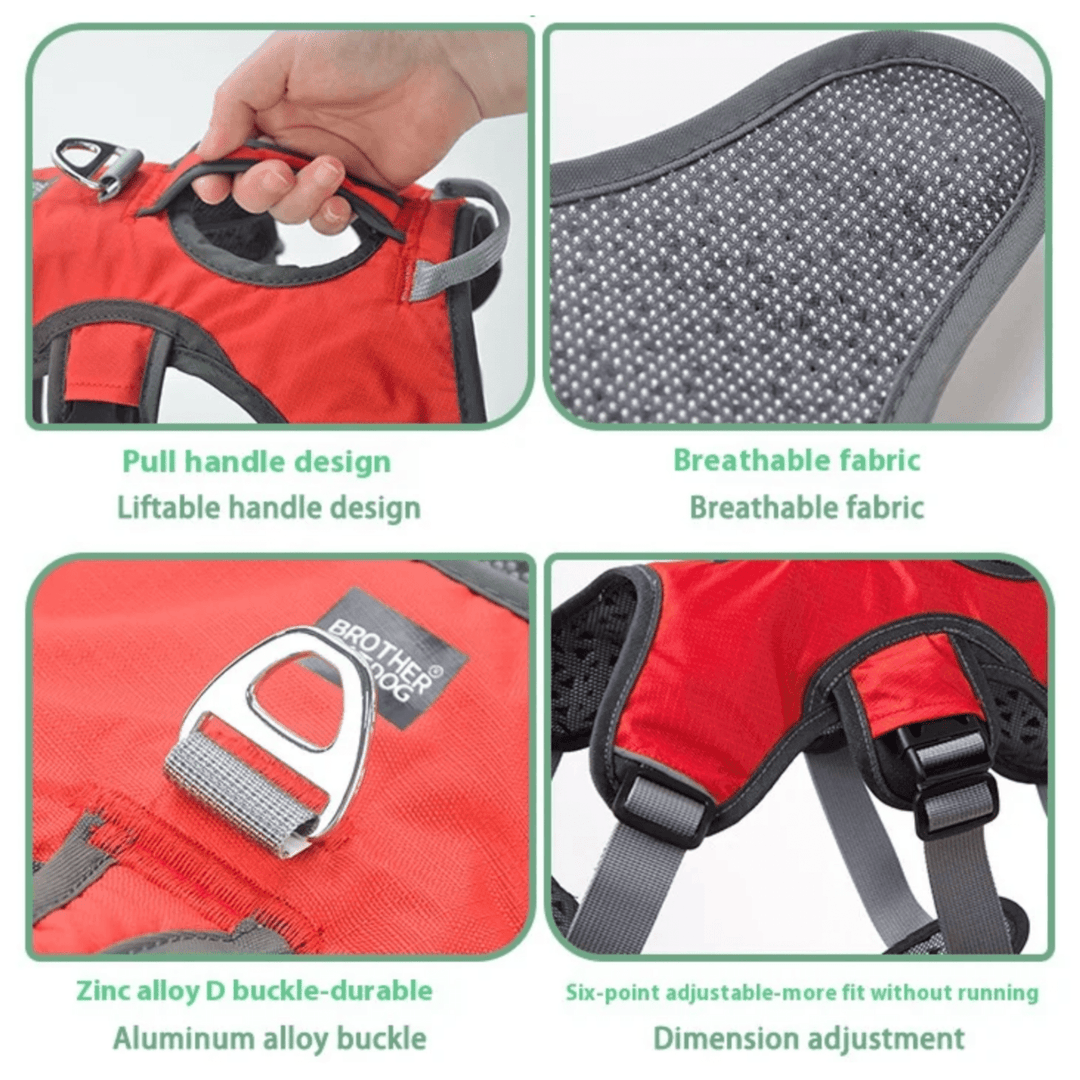 Adjustable Oxford Harness - Pawtique
