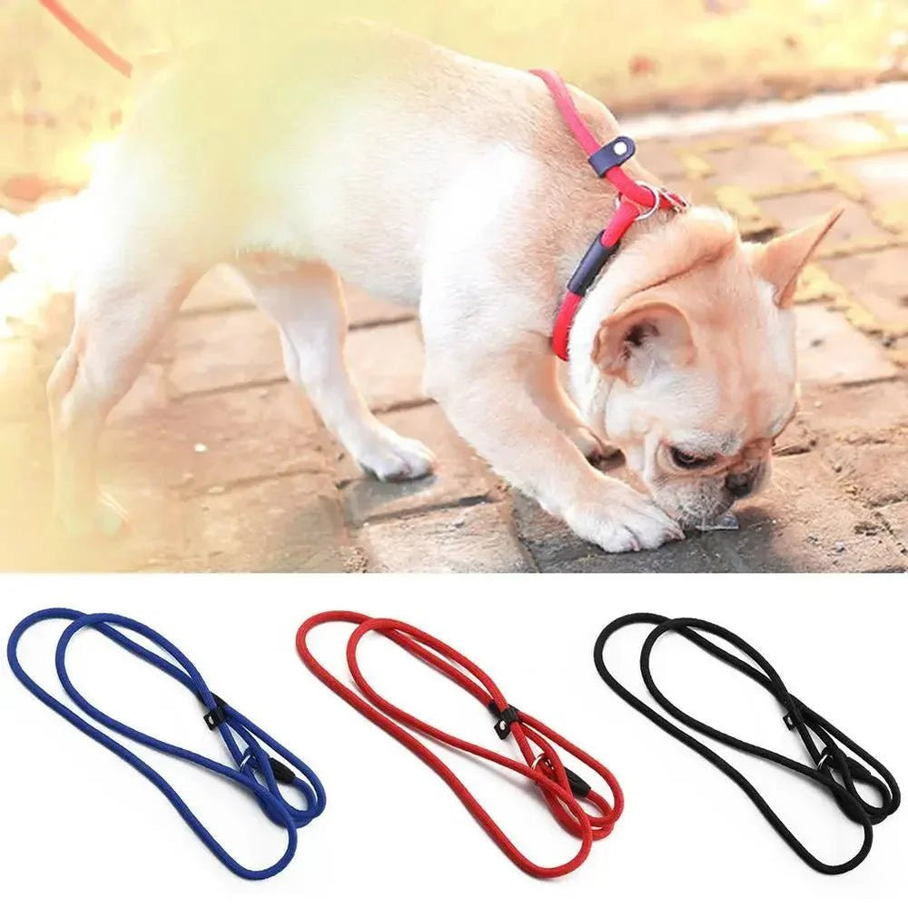 Adjustable Slip Leash for Dogs - Pawtique