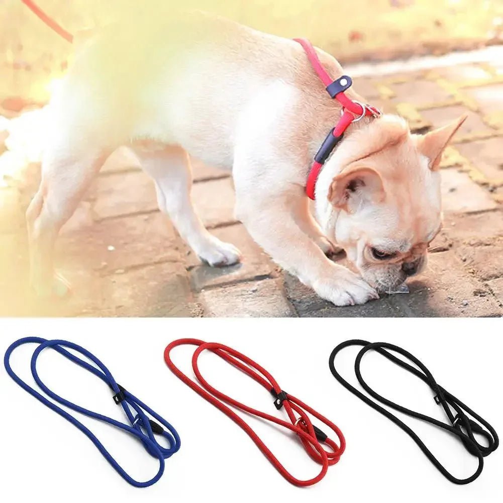 Adjustable Slip Leash for Dogs - Pawtique