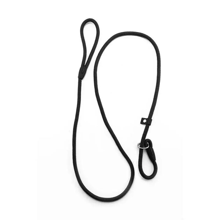 Adjustable Slip Leash for Dogs - Pawtique