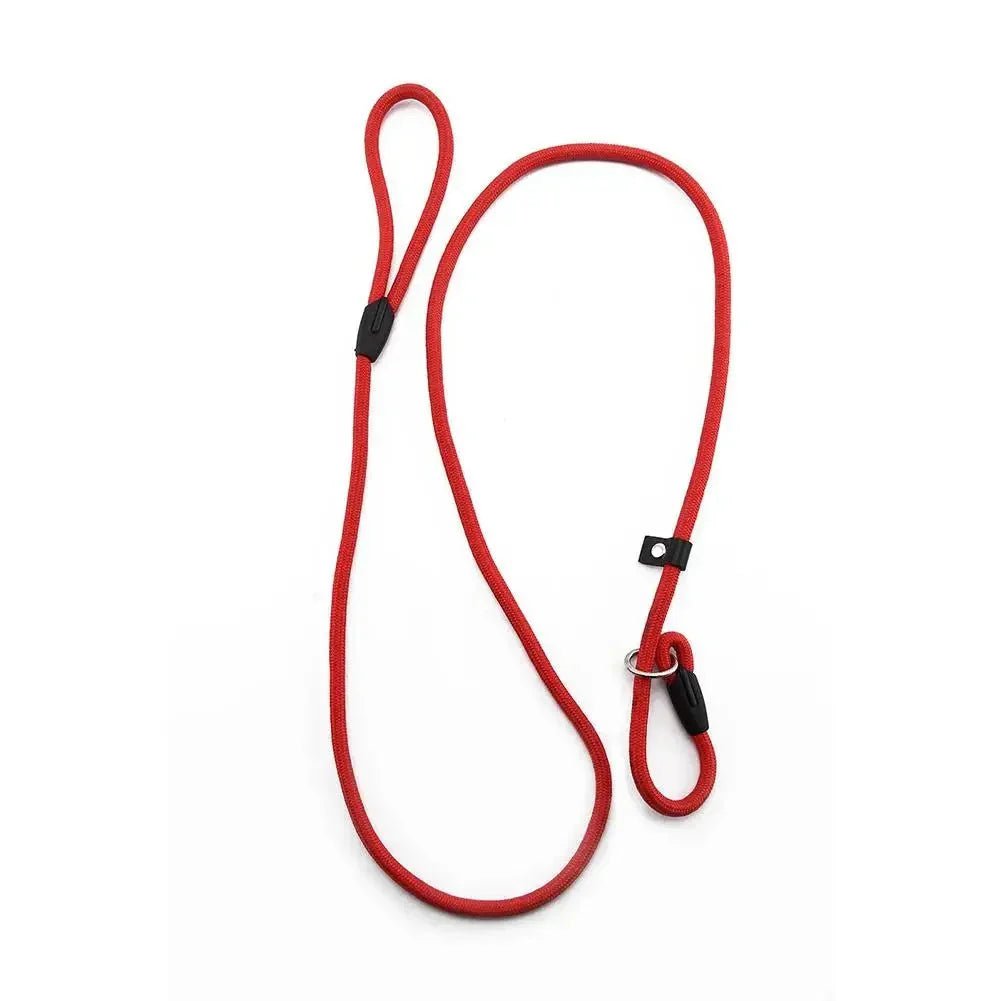 Adjustable Slip Leash for Dogs - Pawtique
