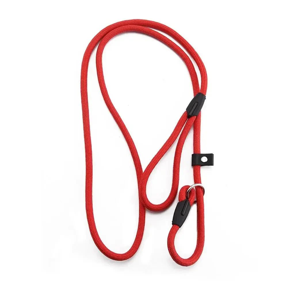 Adjustable Slip Leash for Dogs - Pawtique