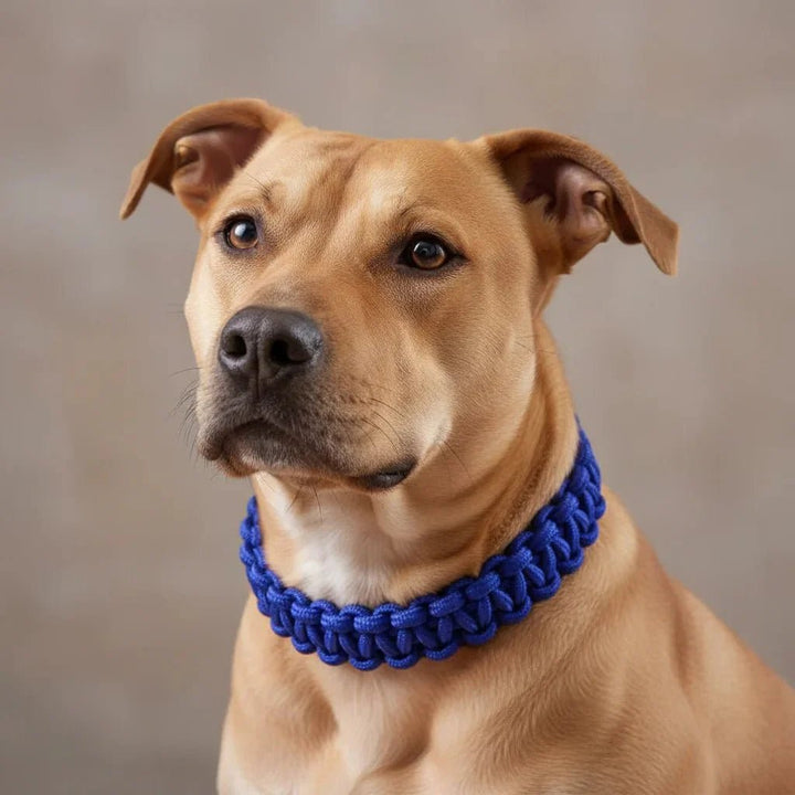 Adjustable Woven Nylon P - Chain for Dogs - Pawtique