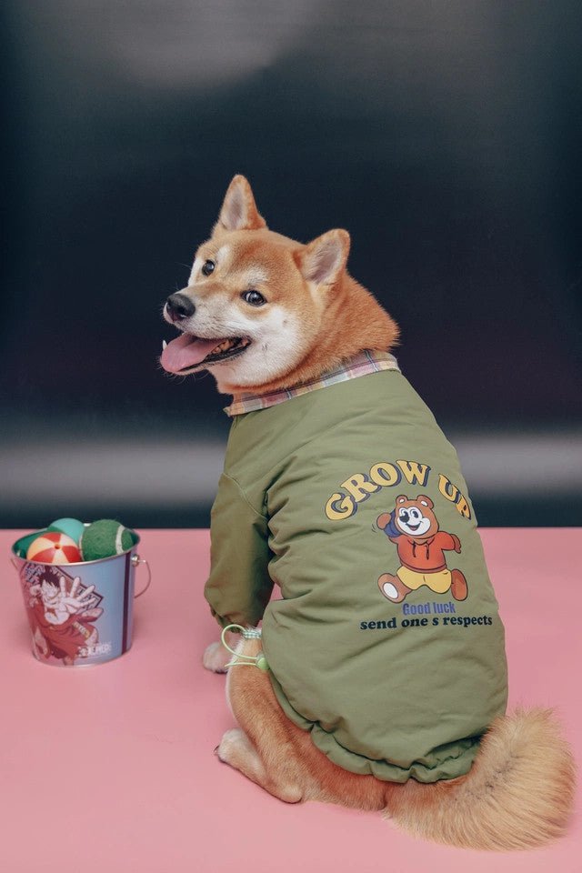 Adventure Jacket - Pawtique