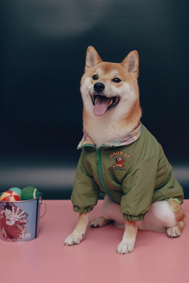 Adventure Jacket - Pawtique