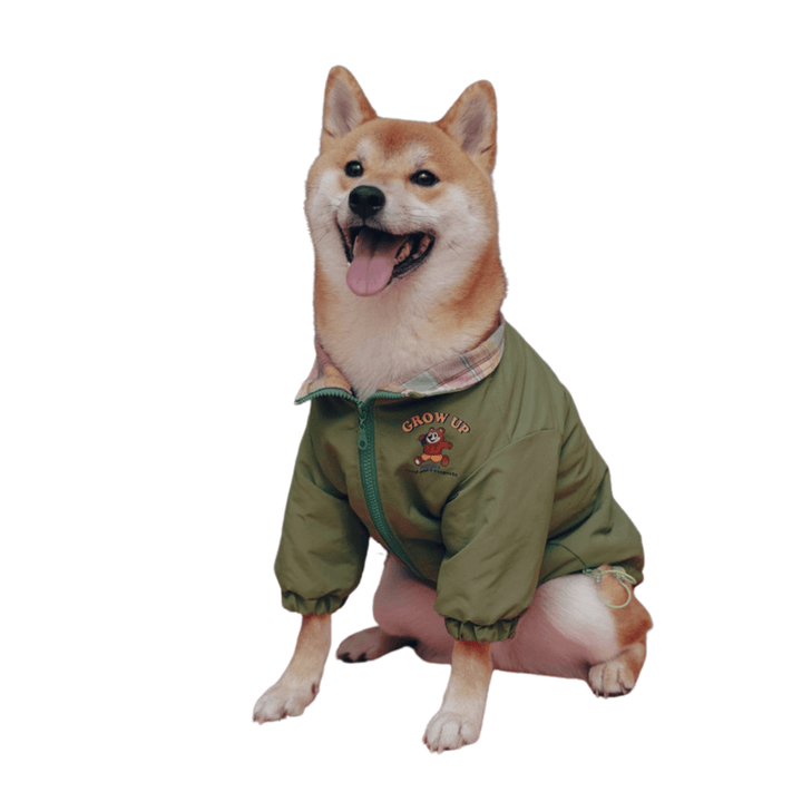 Adventure Jacket - Pawtique