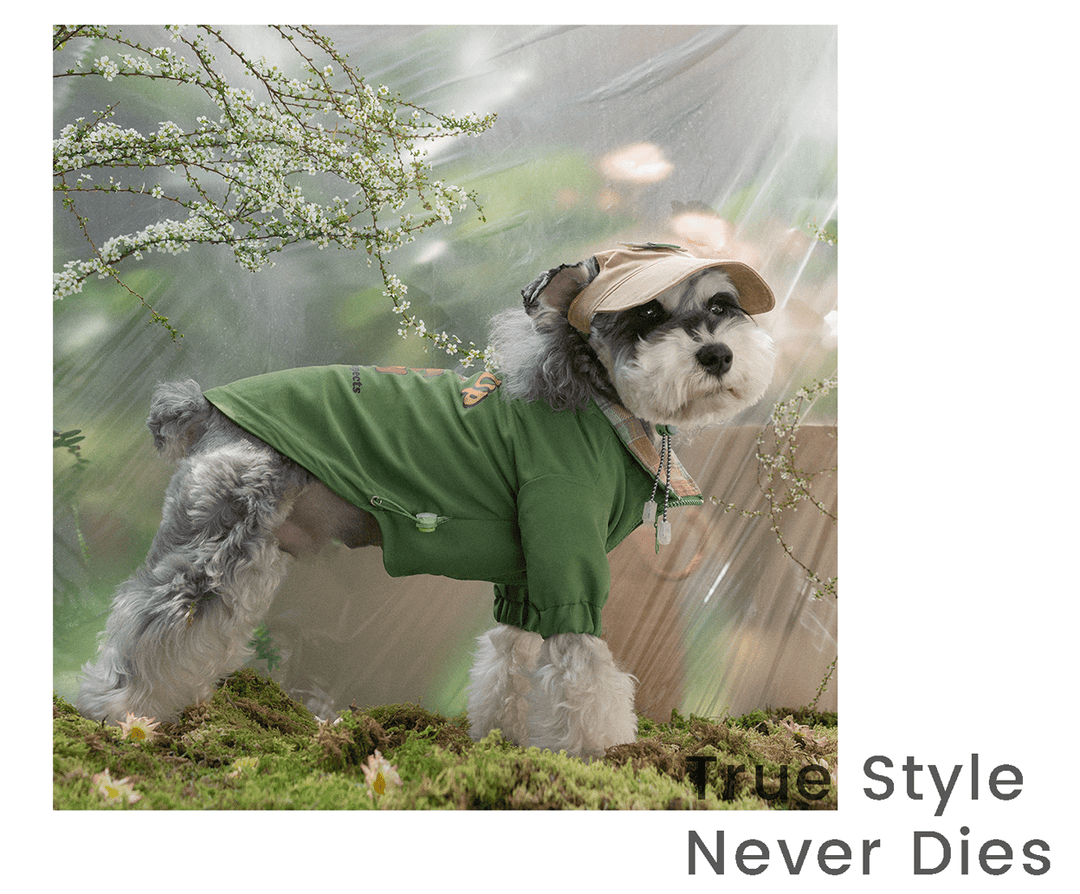 Adventure Jacket - Pawtique