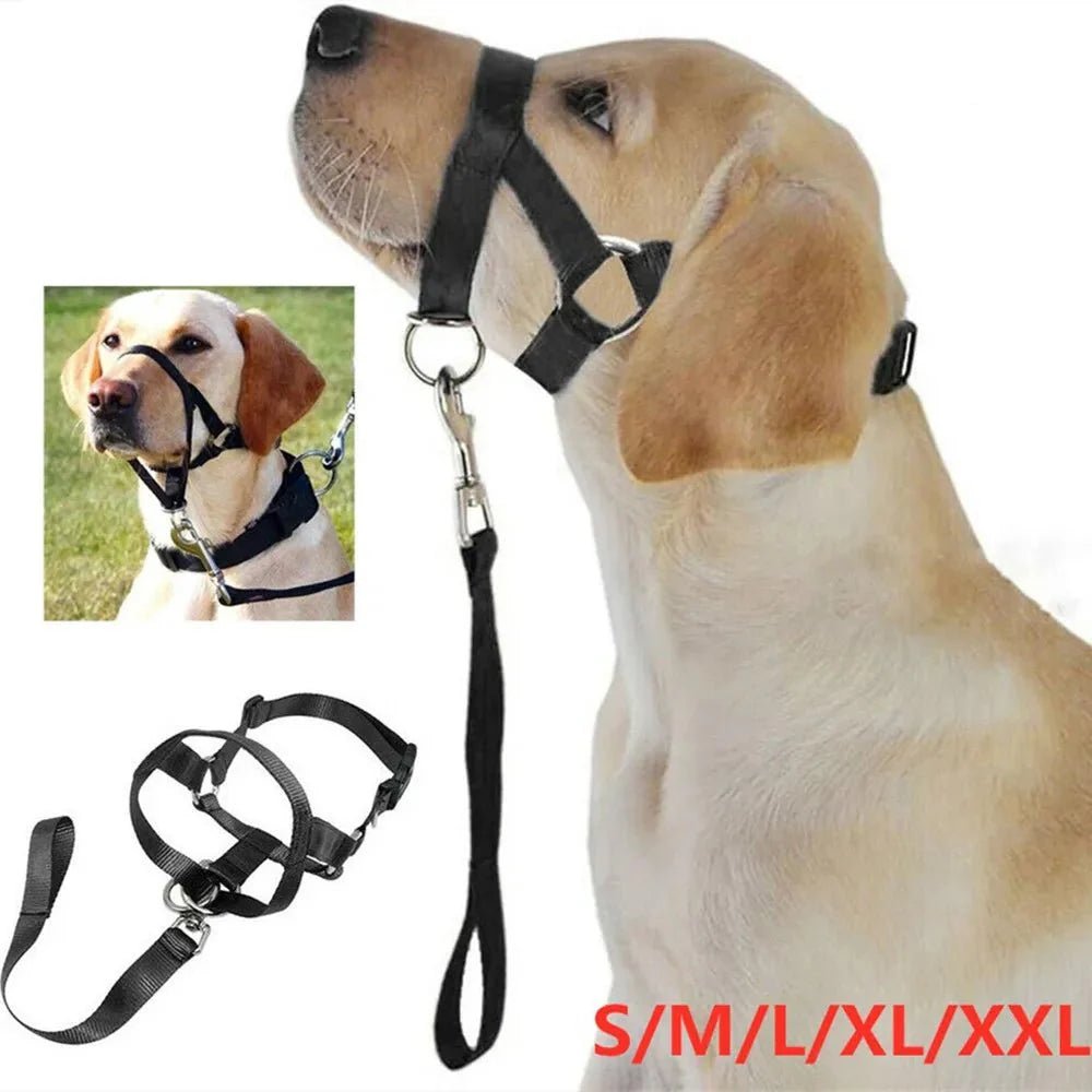 Anti - Pull Dog Halter – Halti - Style - Pawtique