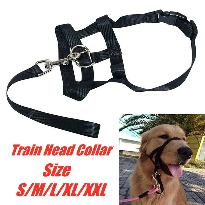 Anti - Pull Dog Halter – Halti - Style - Pawtique