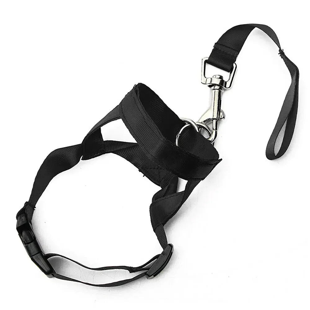 Anti - Pull Dog Halter – Halti - Style - Pawtique