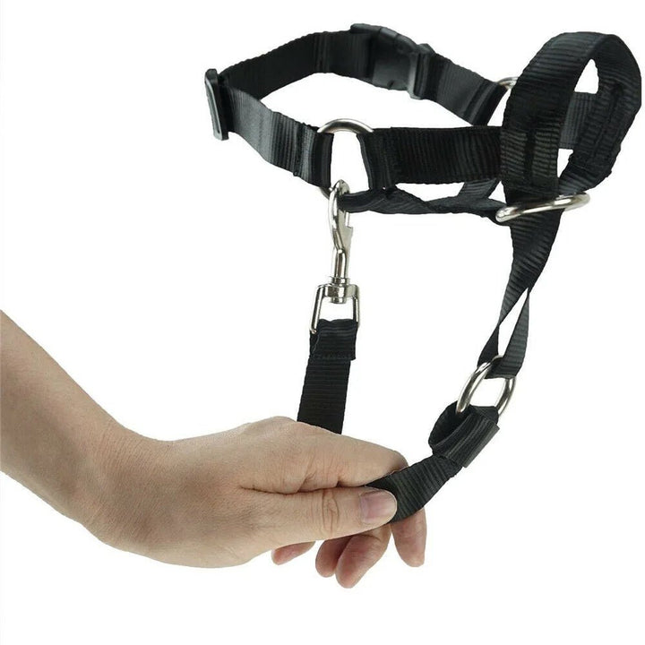 Anti - Pull Dog Halter – Halti - Style - Pawtique
