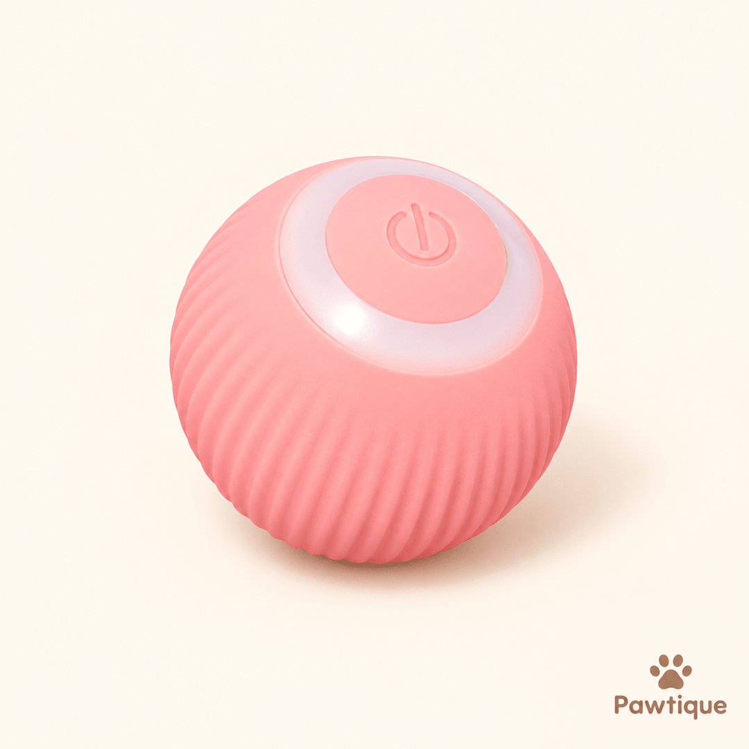 Automatic Interactive Ball Toy - Pawtique