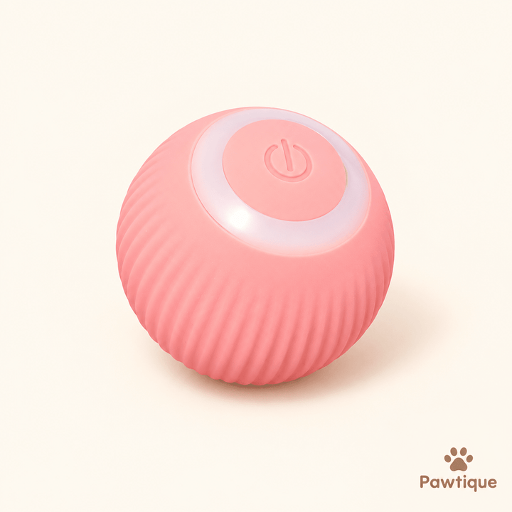 Automatic Interactive Ball Toy - Pawtique