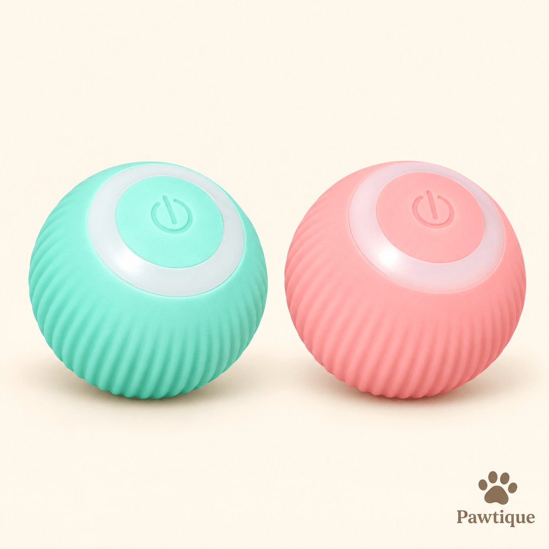 Automatic Interactive Ball Toy - Pawtique
