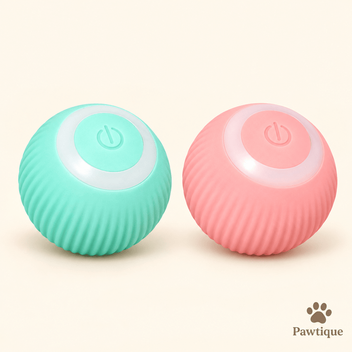 Automatic Interactive Ball Toy - Pawtique