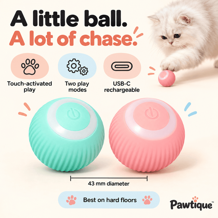 Automatic Interactive Ball Toy - Pawtique