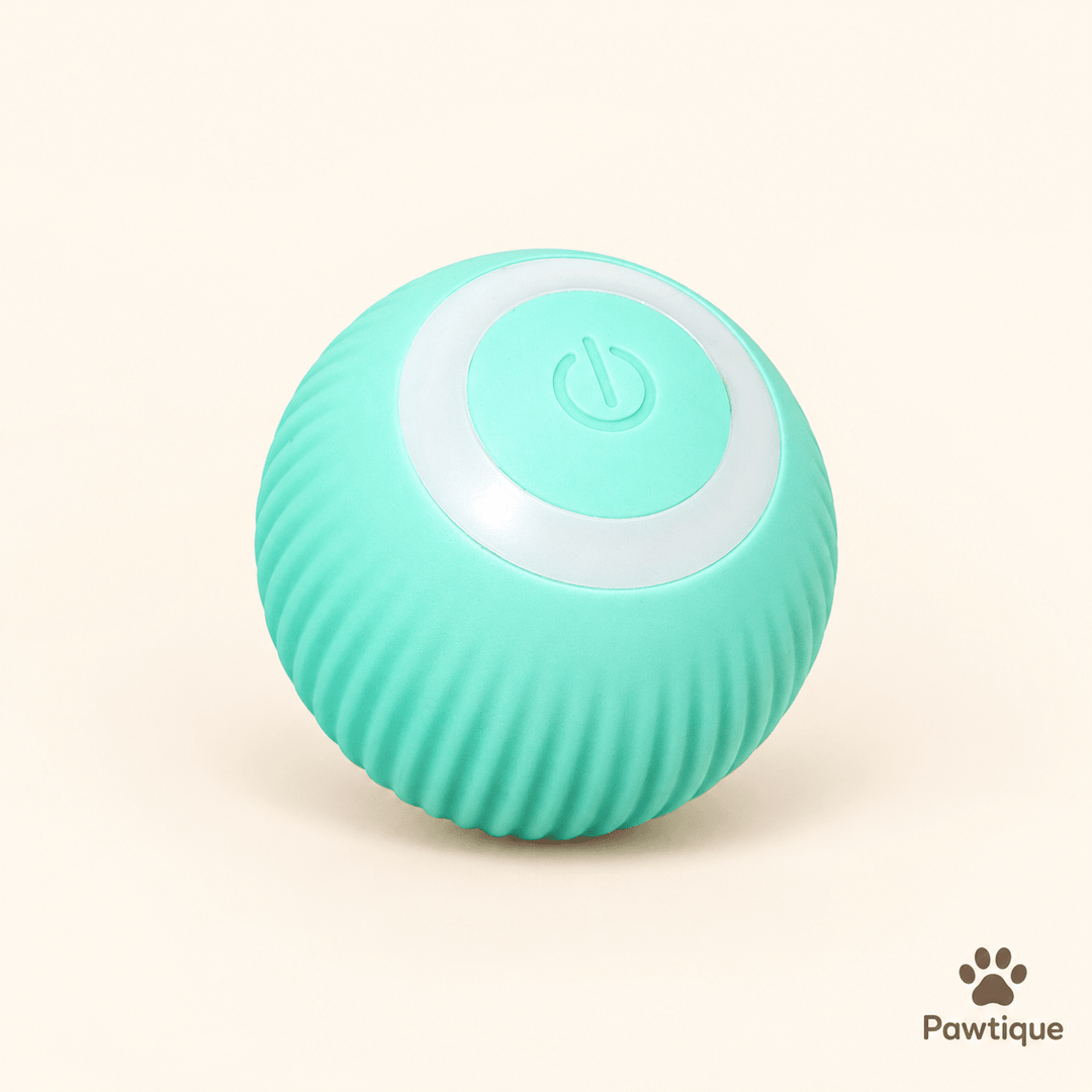 Automatic Interactive Ball Toy - Pawtique