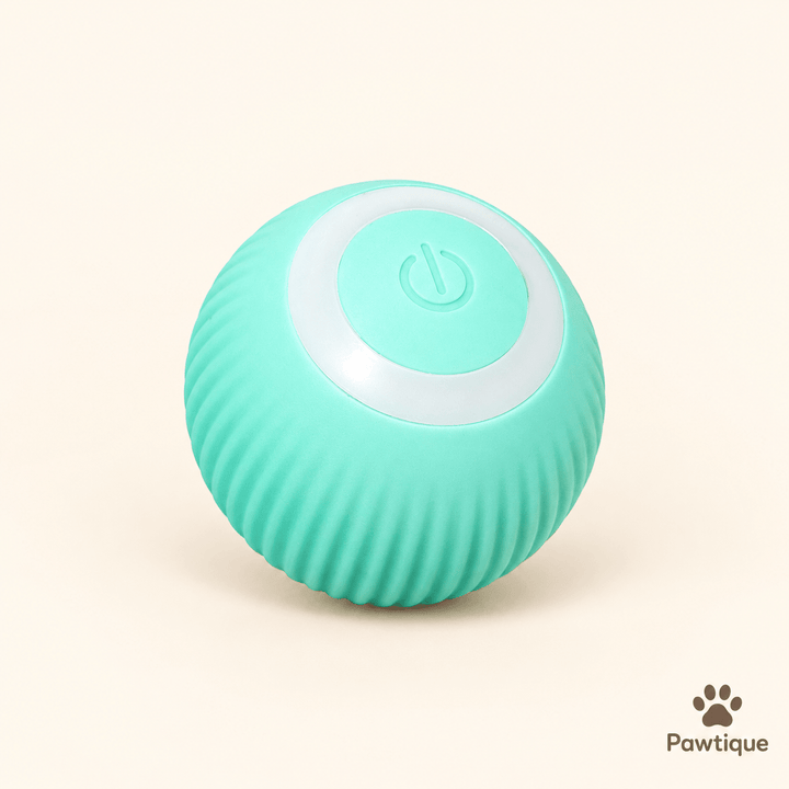 Automatic Interactive Ball Toy - Pawtique