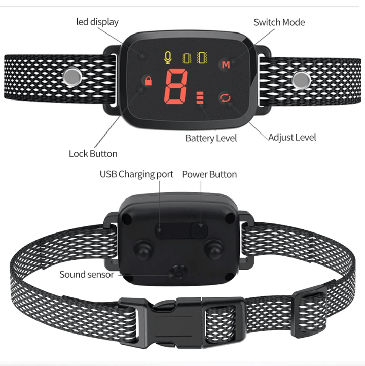 Dog collar with electronic components labeled on a white background