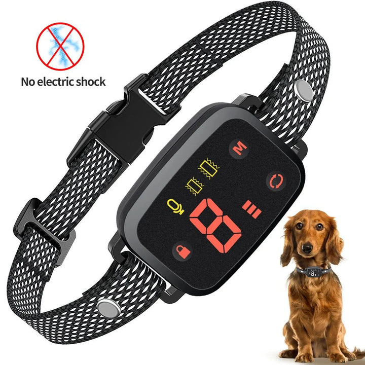Pet training collar with digital display and a dog wearing it on a white background