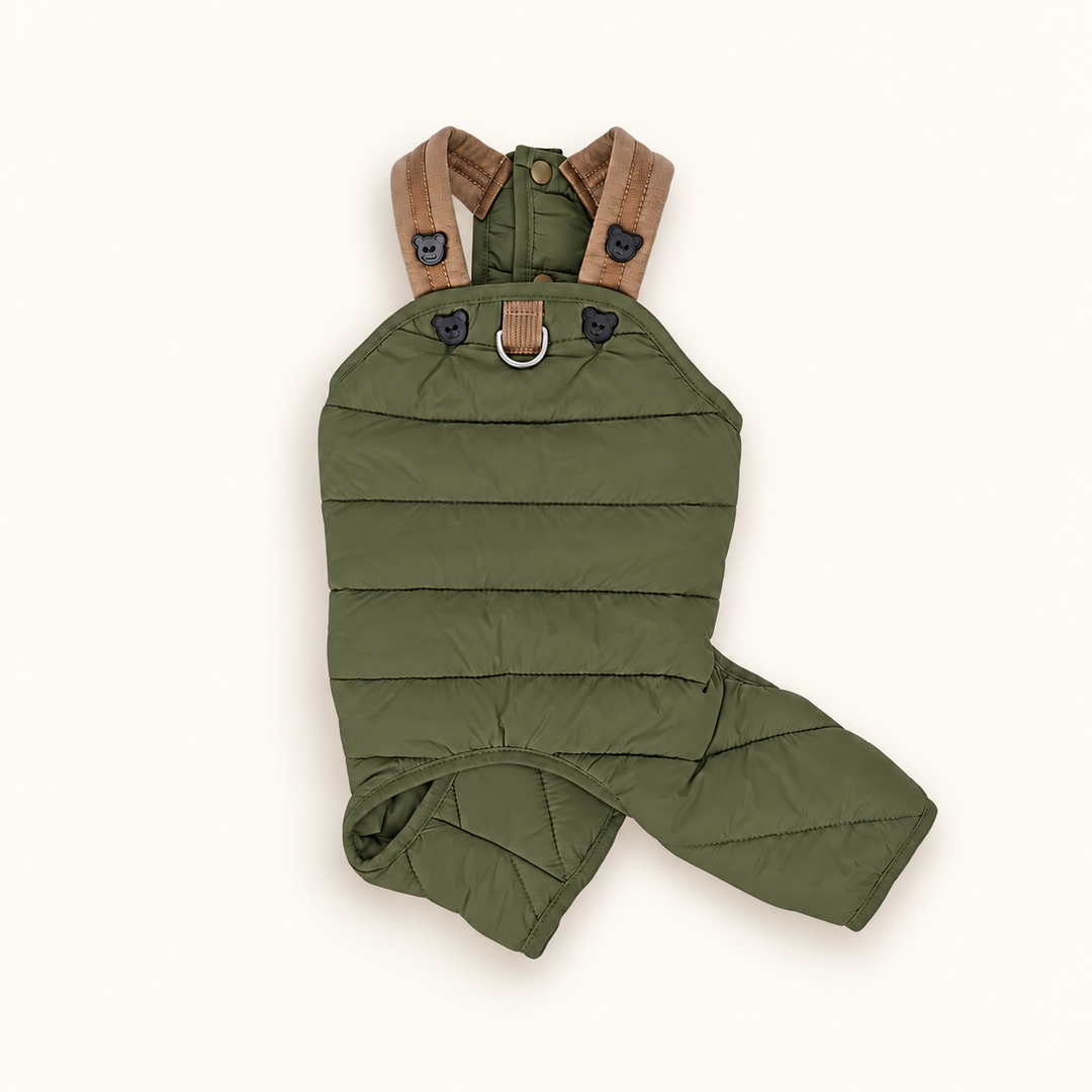 Green quilted dog jumpsuit with brown shoulder straps and bear buttons on a cream background