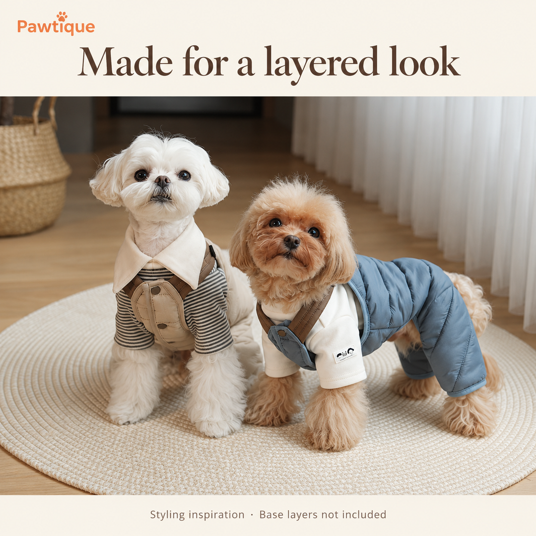 Two small dogs wearing Khaki and Blue jumpsuits layered over separate shirts