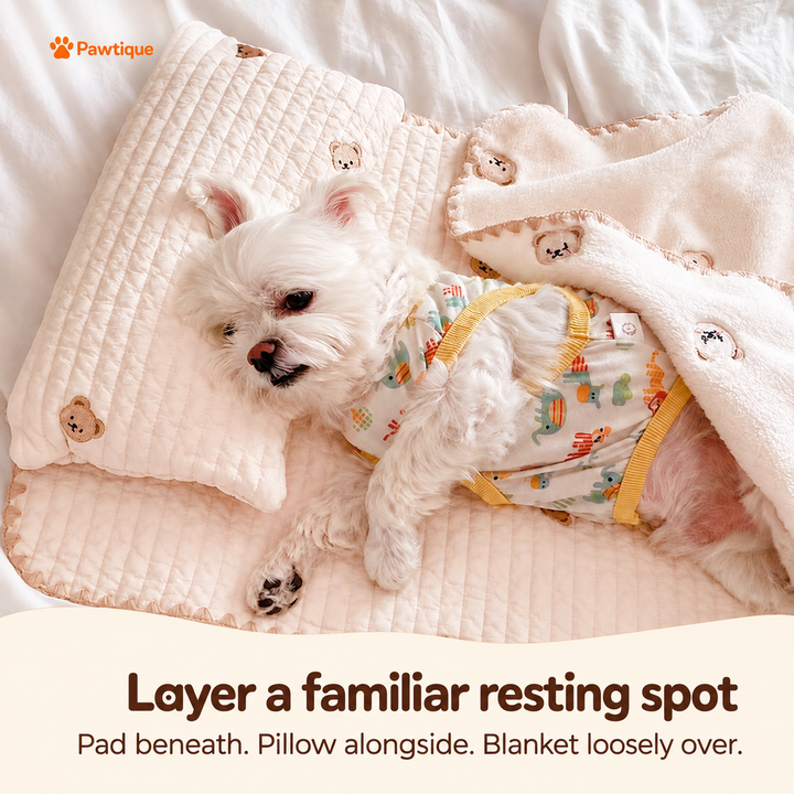 BearHug three-piece pet bedding set: layout