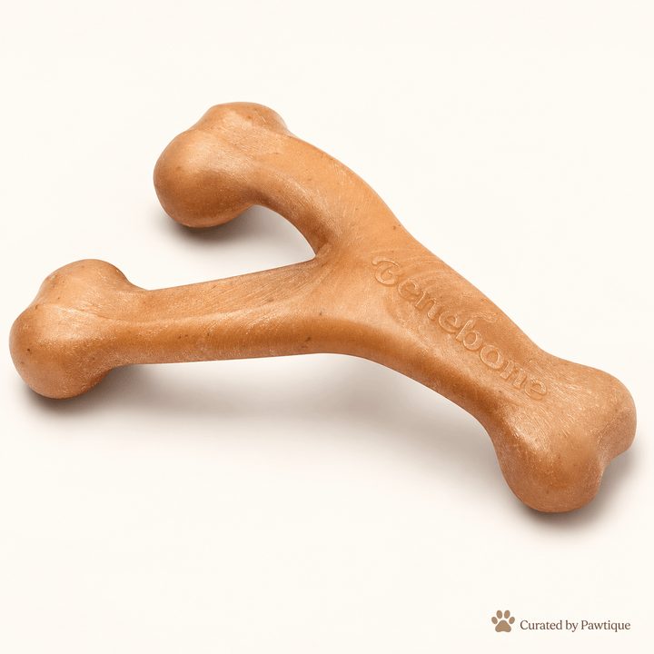 Benebone Bacon Wishbone Chew Toy - Pawtique