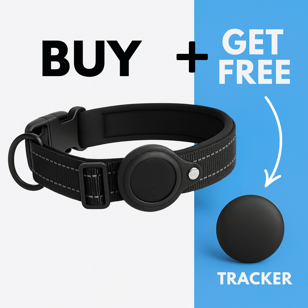 [BEST SELLER] Waterproof Smart Pet Collar Tracker - Pawtique