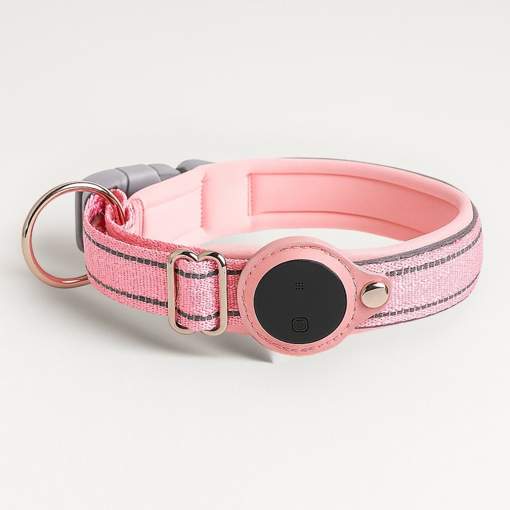 [BEST SELLER] Waterproof Smart Pet Collar Tracker - Pawtique