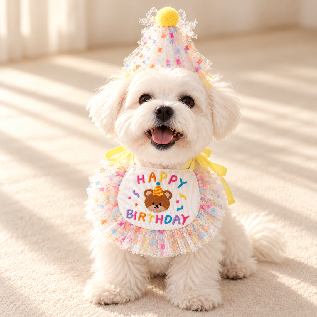 Yellow Birthday Bear bib and hat worn by dog