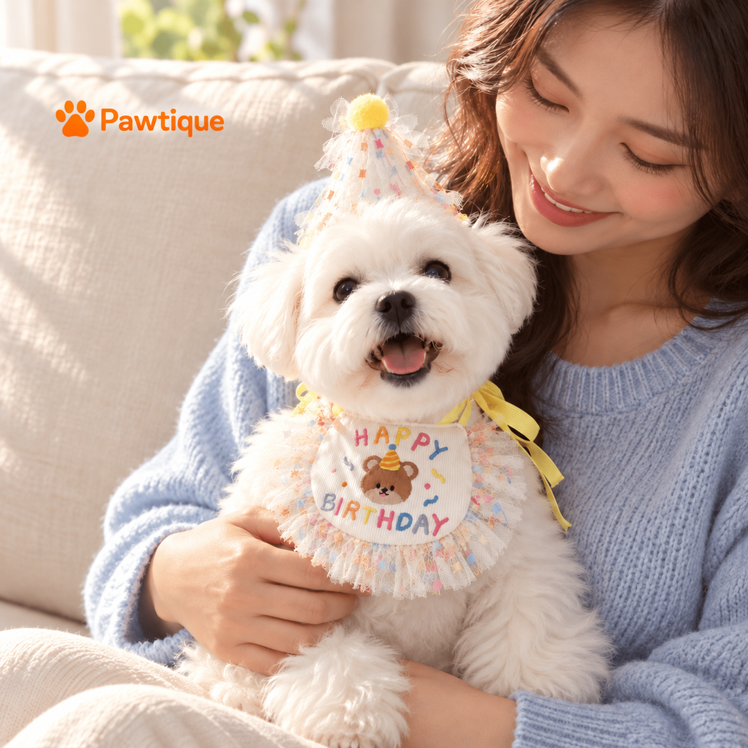 Yellow birthday set shared moment